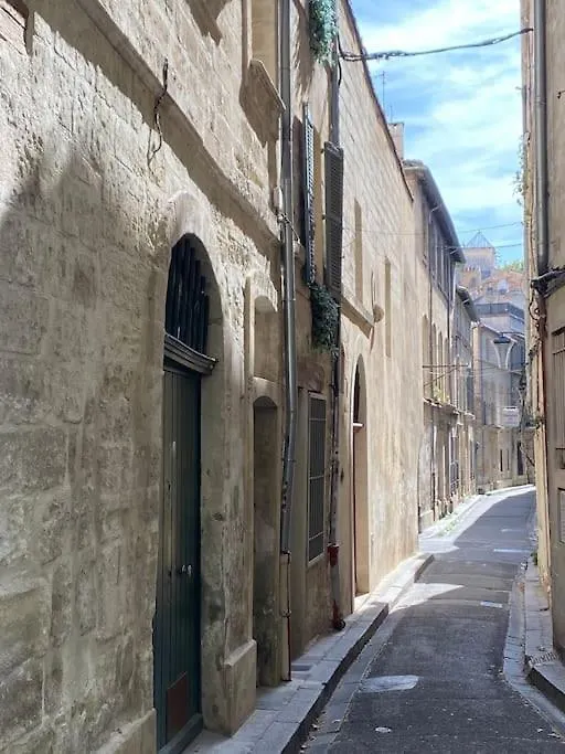 La Terrasse Des Papes Διαμέρισμα Αβινιόν