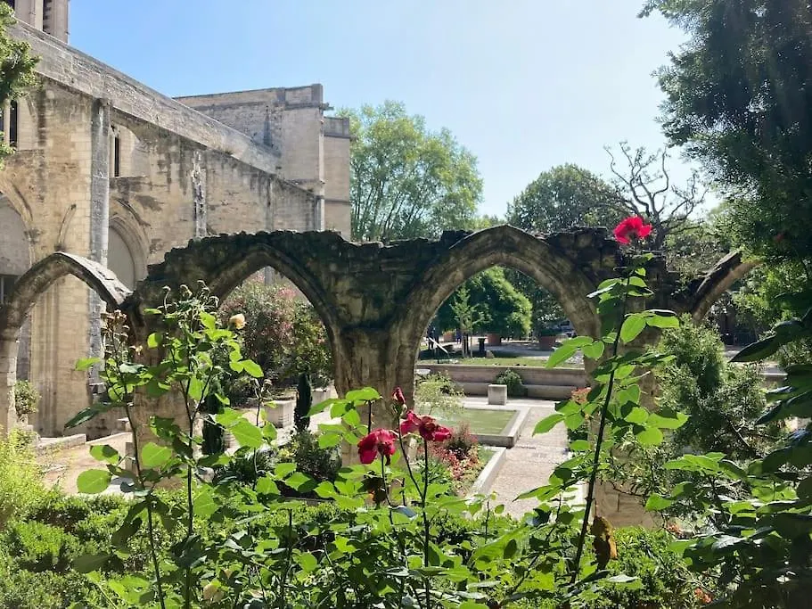 La Terrasse Des Papes Διαμέρισμα Αβινιόν